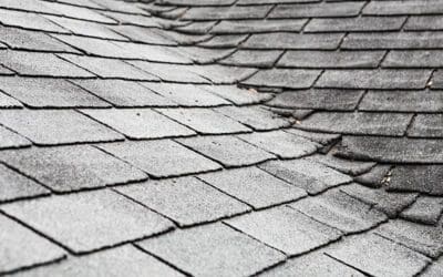Top 5 Signs Your Shingle Roof Needs Replacement in Fort Wayne